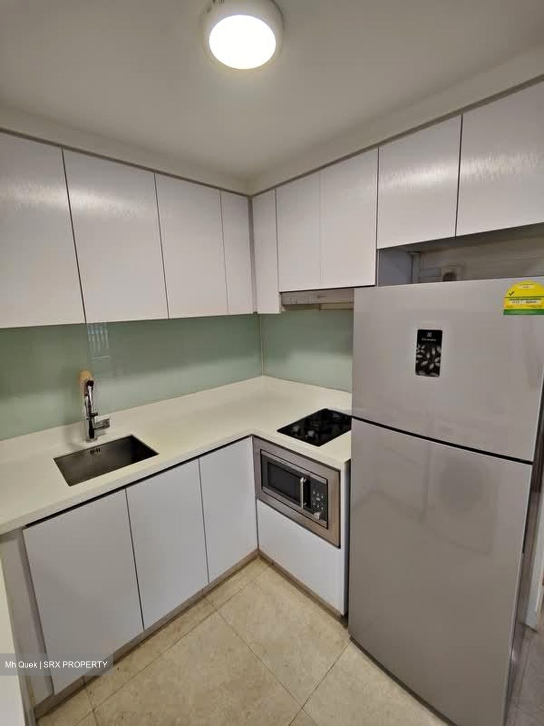Eight Riversuites (D12), Condominium #583656741